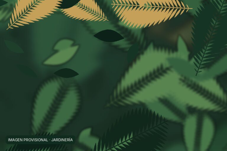 Diseño de Jardines y Paisajismo