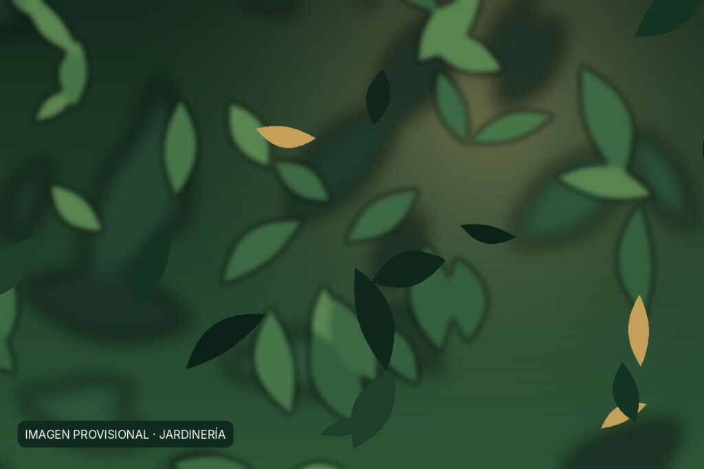 Plantación y cuidado de jardín (imagen provisional)